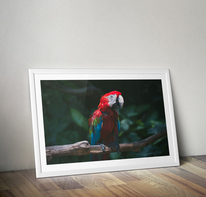 Geometric Macaw Poster